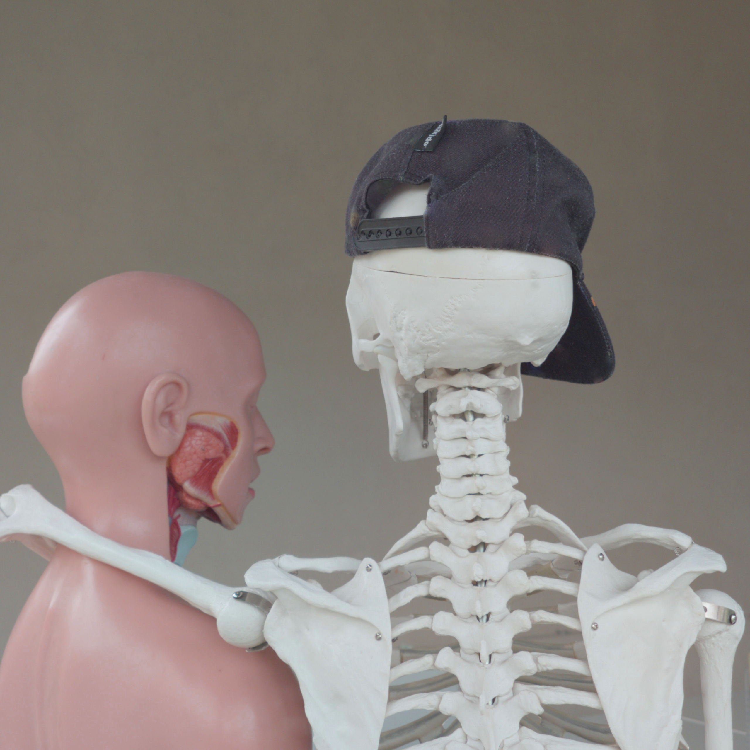 Conosciamo il corpo umano
